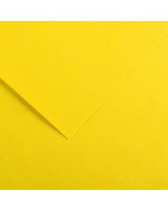 Feuilles de couleur 500 x 650 mm - Gris Clair - CANSON Vivaldi